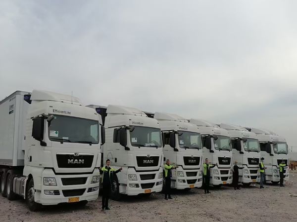 上海冷鏈運輸 上海冷鏈運輸