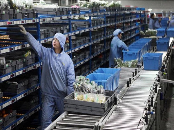 上海到杭州倉儲冷鏈物流 上海到杭州倉儲冷鏈物流